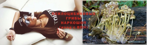 дживик Аркадак