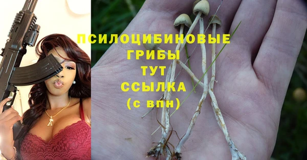 PSILOCYBIN Заволжье