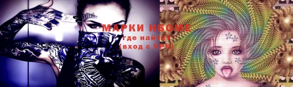 индика Заводоуковск