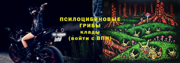 дживик Аркадак