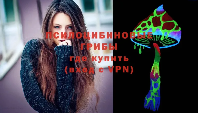 Псилоцибиновые грибы Psilocybine cubensis  как найти   Верхний Тагил 